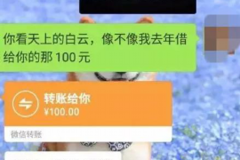 郴州如果欠债的人消失了怎么查找，专业讨债公司的找人方法